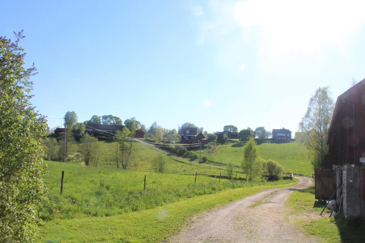 Boende Naera Romme Alpin Och Andra Friluftsaktiviteter I Dalarna Smedjebacken Exterior foto